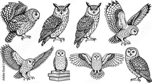 Hand-drawn owl collection featuring various poses including flying owls and perched owls on books, intricate black and white ink illustration vector set.