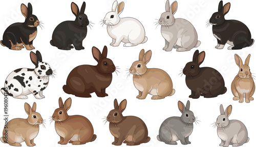 Set of detailed vector illustrations featuring various breeds of cute rabbits in different sitting and resting poses, isolated on a clean white background.
