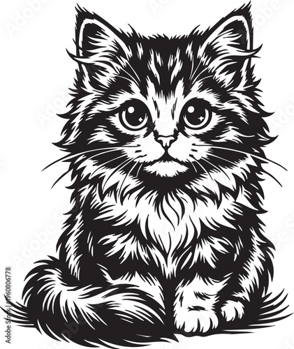 Detailed black and white illustration of fluffy kitten sitting upright with expressive eyes and curled tail isolated on white background