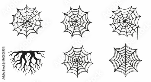 Frontal view of six eerie spider web illustrations arranged in two rows on a white backdrop, evoking a Halloween atmosphere