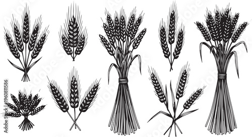 Illustration of various wheat bundles and ears in black