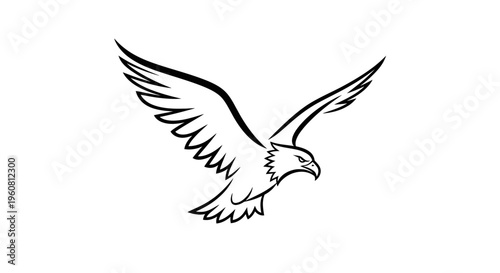 Stylized Eagle Flying, Black and White Line Art, Vector Illustration