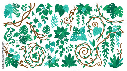 Jungle vines and tropical leaves collection set for decoration and design elements in a lush green natural environment