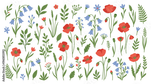 Vibrant collection of wild poppies and bluebells with green leaves and stems on a white background, a beautiful floral pattern for spring and summer designs