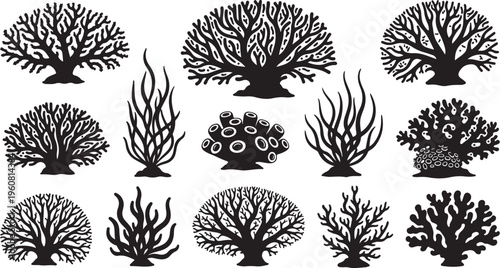 Collection of various coral reef silhouettes on white background