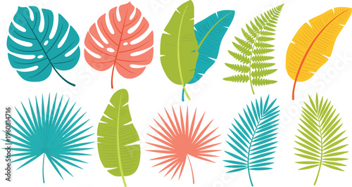 Collection of colorful tropical leaves on white background for design and decoration purposes easily