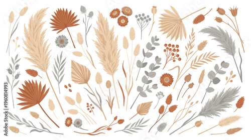 Bohemian dried flowers and pampas grass arrangement boho style decorative elements for naturalistic design and crafting