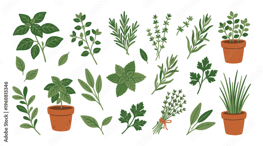 Obraz premium Collection of fresh garden herbs in pots and as loose sprigs, illustrating healthy cooking and natural ingredients for culinary use