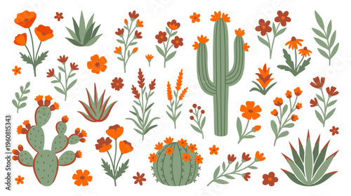 Desert botanical illustration featuring vibrant wildflowers and various cactus species in a flat design style against a white background