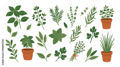Collection of fresh garden herbs in pots and as loose sprigs, illustrating healthy cooking and natural ingredients for culinary use