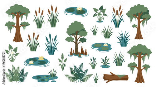 Collection of swamp and wetland flora including cypress trees cattails water lilies ferns and lily pads in a flat design style
