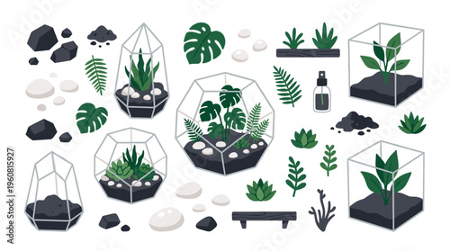Collection of modern terrariums with various green plants and succulents in geometric glass containers and decorative elements like stones and soil