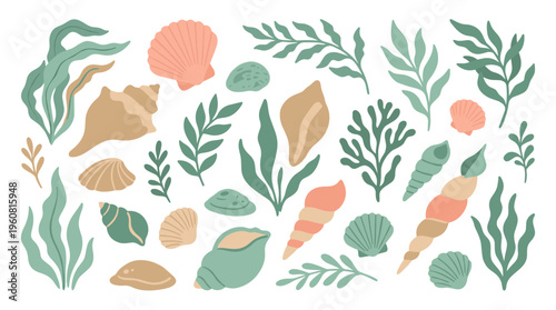 Collection of seashells and seaweed in pastel colors, abstract marine life illustration, perfect for summer beach decor and ocean themes