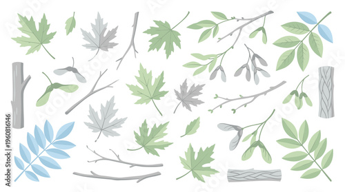 Collection of natural elements including maple leaves branches and tree bark textures in green gray and blue tones on a white background