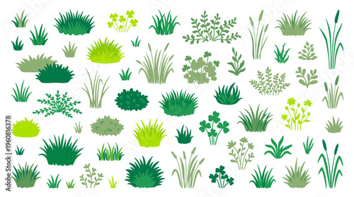Collection of diverse green grass and plant illustrations for natural design elements and landscaping concepts