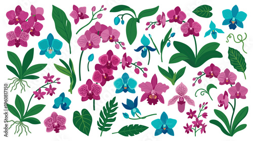 Vibrant collection of exotic orchid flowers and tropical leaves in various shades of pink and blue, hand-drawn illustration style