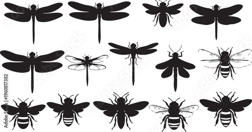 Insect Silhouettes of Dragonflies and Bees on White Background