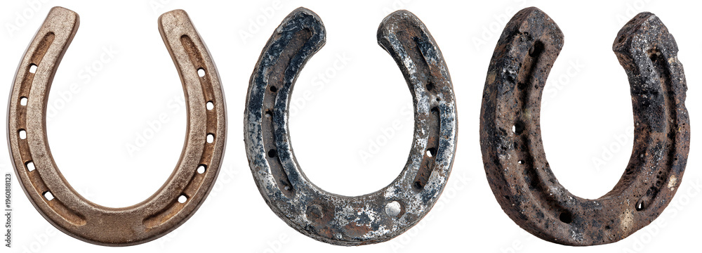 Εκτύπωση καμβά A photograph of three rustic, antique horseshoes in different conditions