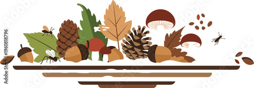 Autumn forest composition with mushrooms leaves acorns and pinecones flat vector illustration seasonal nature arrangement with insects and woodland elements
