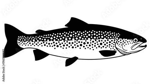 Illustration of a speckled trout fish, isolated on white background, black and white line art
