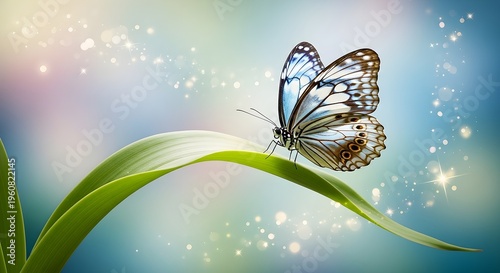 Exquisite butterfly with blue and white patterned wings rests on a vibrant green leaf with soft bokeh background