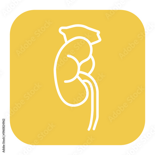 Adrenal Glands Icon