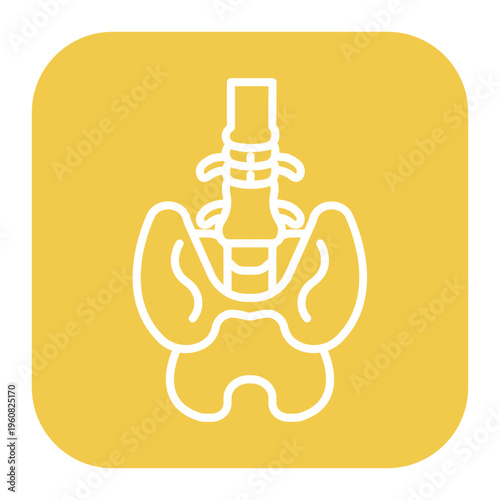 Pelvis Icon