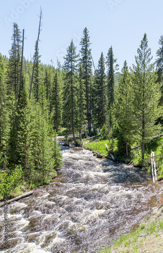 Wallpaper Mural Little Firehole River, Yellowstone National Park, Wyoming, USA Torontodigital.ca