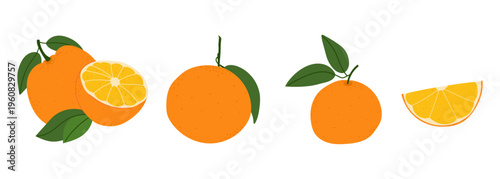 Collection of fresh orange fruit illustrations with whole oranges with green leaves, half cut citrus and juicy slice. Set of fresh citrus fruits for healthy eating, juices and product design, isolated