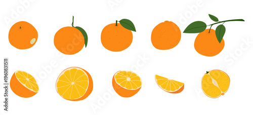 Large set of juicy orange fruit illustrations including whole fruits with leaves, halves and slices, textured flat vector icons. Fresh citrus fruits for healthy eating, juices and product design.