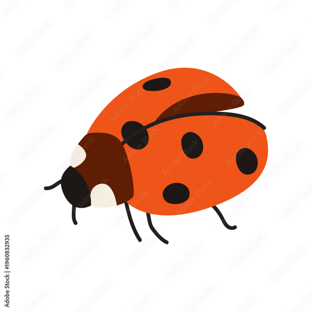 Obraz premium Cute spring insect. Vector red spotted ladybug beetle element. Nature illustration for stickers, scrapbooking and nursery decor