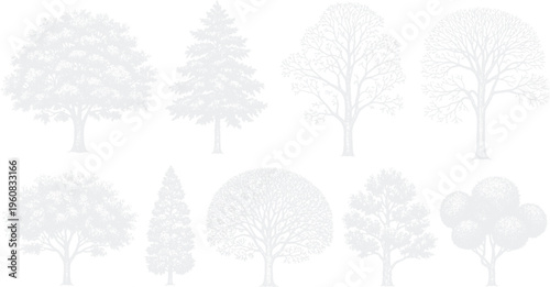 Diverse collection of stylized white tree silhouettes for nature-inspired graphic design and architectural landscape planning elements with white trees