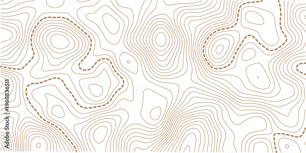 Fototapeta premium Vector banner. Topographic map ,abstract height lines on white background ,vector. Topography background.