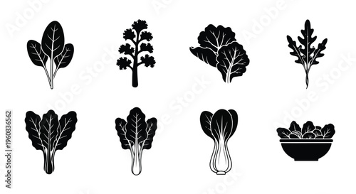 Leafy green vegetables icon set, black silhouette salad leaves collection, 8 organic vector elements including spinach, kale, and bok choy