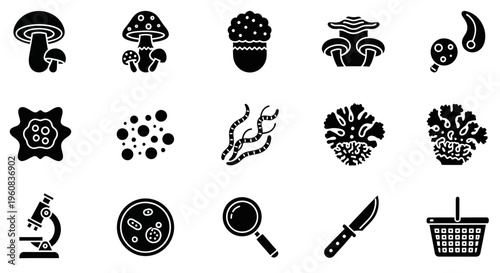 Collection of black silhouette icons related to fungi microbiology and collection tools