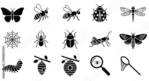 Black and white icons depicting various insects arachnids and entomological tools