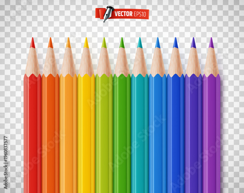 Vector realistic illustration of colored pencils on a transparent background.