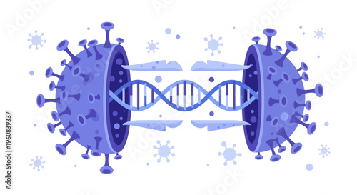 Coronavirus DNA Structure Unveiled: Genetic Code of Virus Revealed