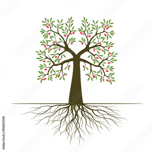Green Fruits Tree with Leaves and Roots. Vector outline Illustration. Plant in Garden.