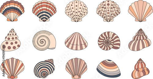 Seashell collection with various ocean shell shapes and patterns, decorative beach elements in soft pastel tones vector illustration set for marine design