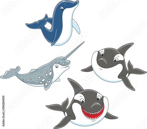 Vector cartoon set of an Arctic narwhal, a funny dolphin and two orcas