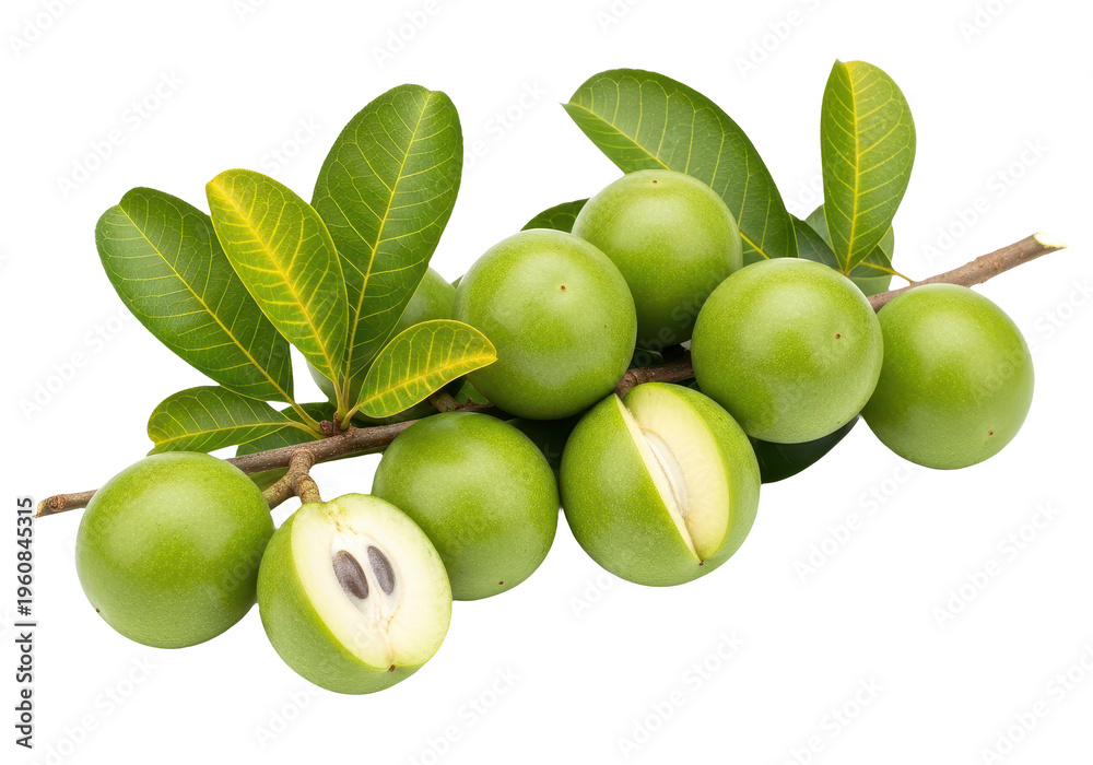 Obraz premium Fresh genip fruit or melicoccus bijugatus isolated on transparent background