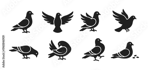 A set of black pigeon icons in various poses: flying, standing, walking, eating. Minimalist bird silhouettes perfect for logos, peace symbols, or nature-themed vector graphics.