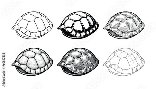 A set of six turtle shell illustrations in various graphic styles. Includes line art, engraving, and stippling techniques. Vector design for logo, icon, or science concepts.