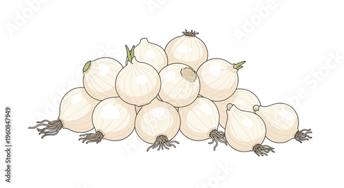 Pile of small white onions, or pearl onions, illustrating these delicate, sweet bulbs as versatile culinary ingredients for roasting, pickling, and gourmet dishes.