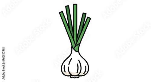 Minimalist illustration of a garlic bulb with green shoots, representing a fundamental aromatic ingredient and fresh garden growth, perfect for culinary and herb themes.