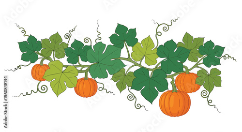 Long pumpkin vine, richly adorned with vibrant orange pumpkins, lush green leaves, and curling tendrils, symbolizing abundant autumn harvest and seasonal decor.