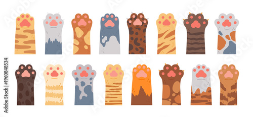 Cat paws. Pet hand. Cartoon cute kitten palm, funny kitty fur foot with claw. Different cats paw, puffy animal footprints with various textures, stripes, spots. Vector set
