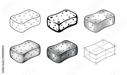 A set of six sponge vector illustrations, showcasing various graphic styles from simple outline to detailed engraving and stippling. Ideal for icons, logos, or design tutorials.