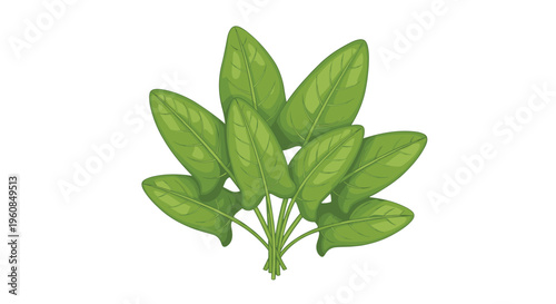 Fresh bunch of sorrel leaves, depicting their characteristic oval, pointed shape and vibrant green color, symbolizing a tart, flavorful herb for culinary use.